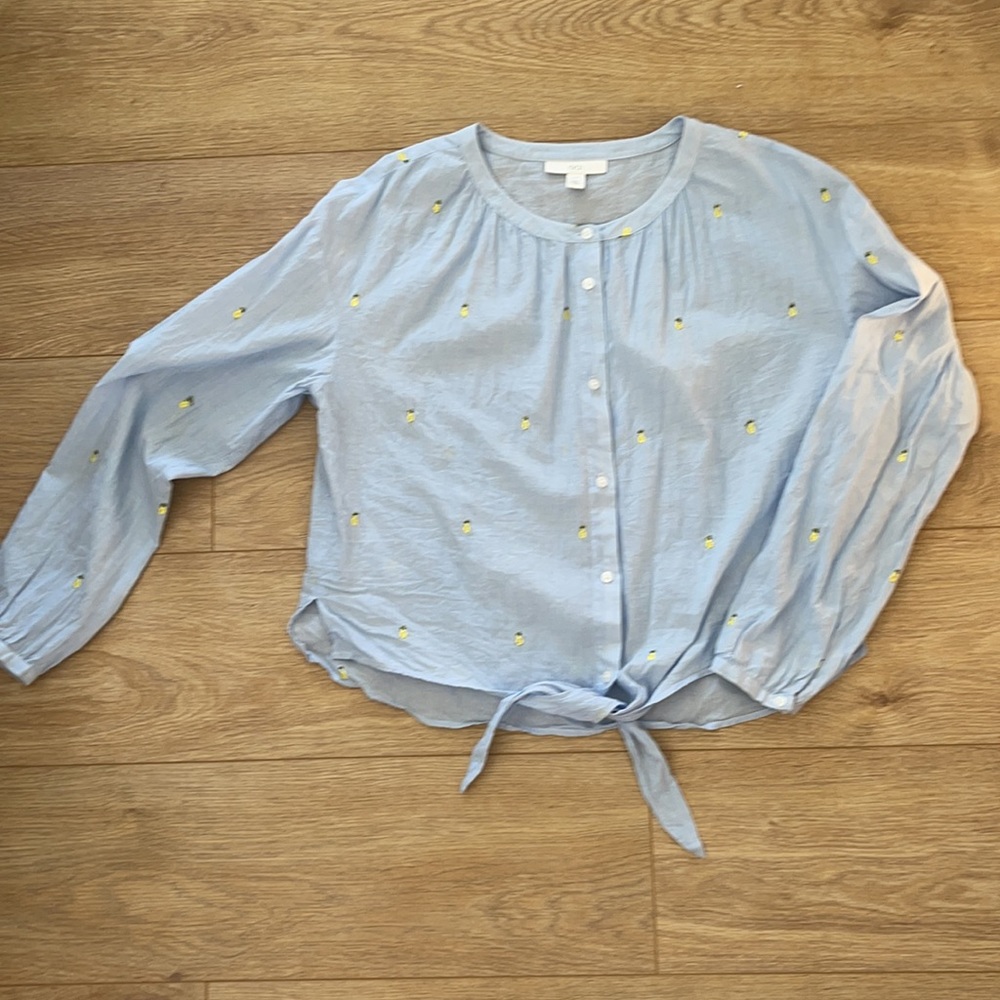 1901 Blouse